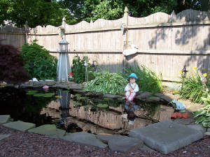 pond2.jpg